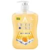 Astonish Protect + Care Anti-Bacterial Hand Wash 600ml - Milk & Honey -Health And Beauty Stores 402212 astonish protect and care anti bacterial handwash milk and honey