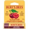B&M Burt's Bees Wild Cherry Lip Balm -Health And Beauty Stores 402222 burts bees wild cherry lip balm