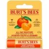B&M Burt's Bees Sweet Mandarin Lip Balm -Health And Beauty Stores 402223 burts bees sweet mandarin lip balm